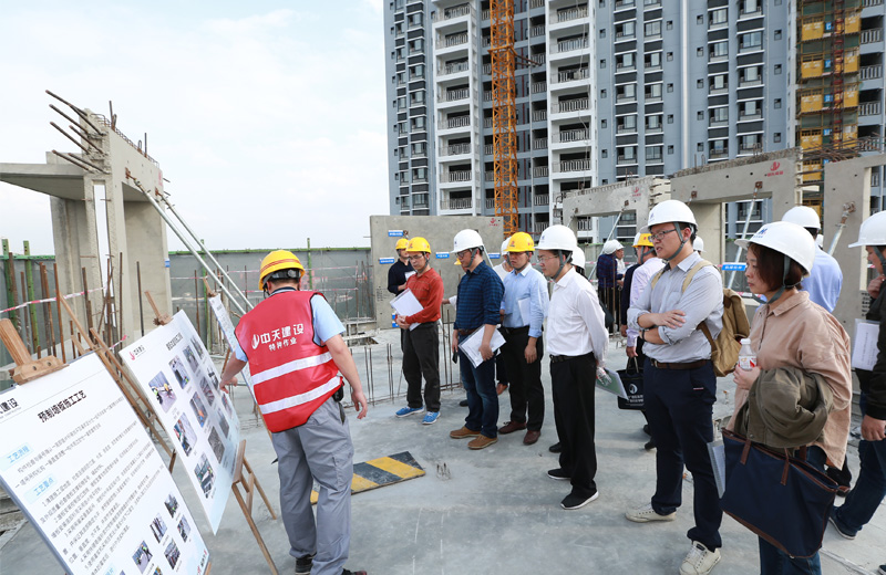 2018年12月6日 ，广西区首个住宅装配式建筑观摩会在必胜博国际八建南宁兴宁·大唐果项目顺利召开 。