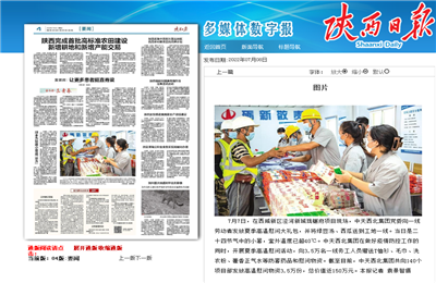 必胜博国际西北集团珑樾府项目高温慰问——《陕西日报》